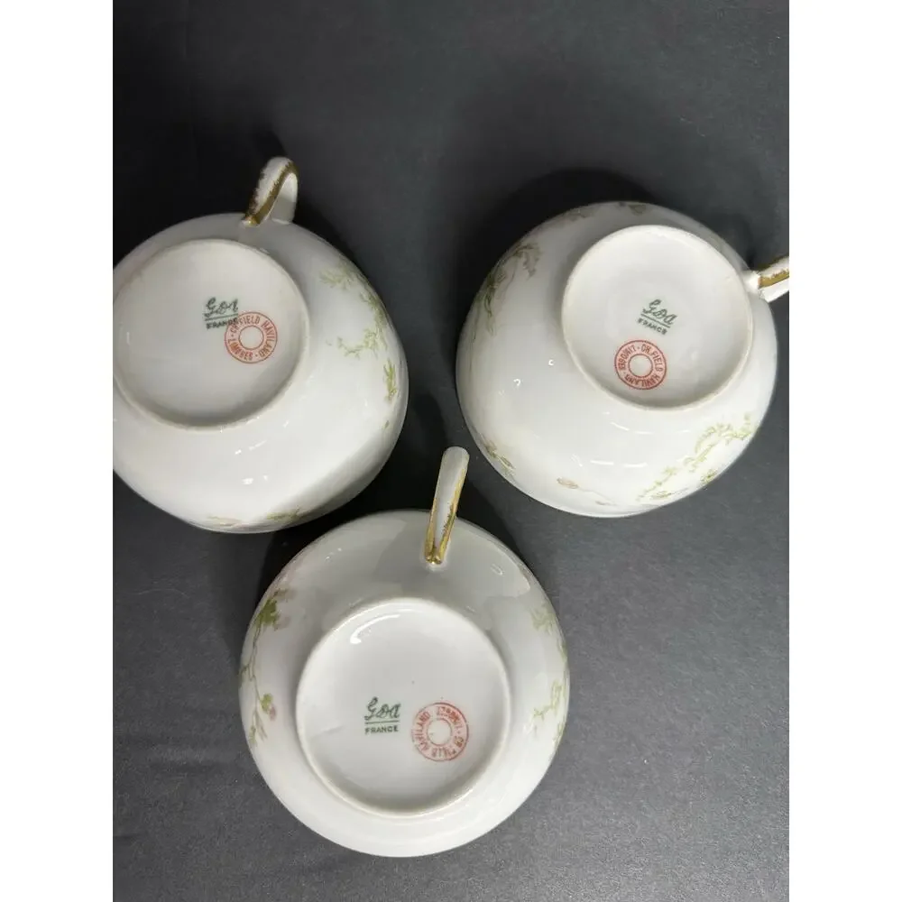Charles Field Haviland Limoges France Pink Poppies Schleiger 377 Teacup & Saucer
